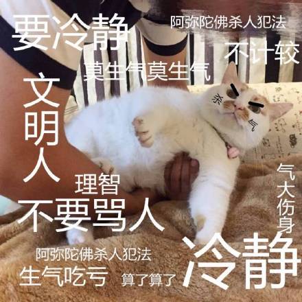 整理好的斗图表情包合集，聊天怼人再也不怕没素材