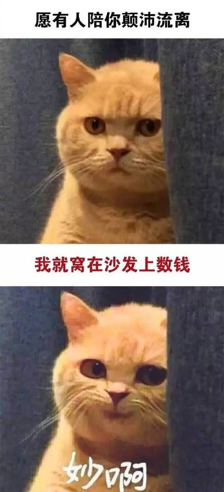 这款“真是妙啊”表情包火了，怼人摆烂都能用
