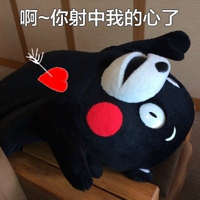 用熊本熊撩妹撩汉！这套表情包太会了