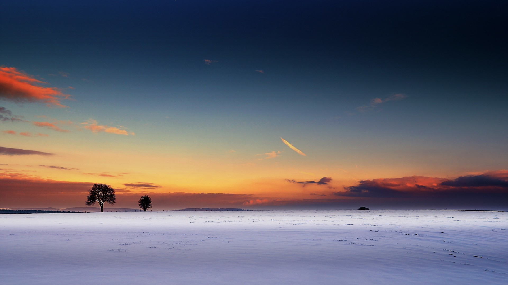冬日田野日落雪地树壁纸