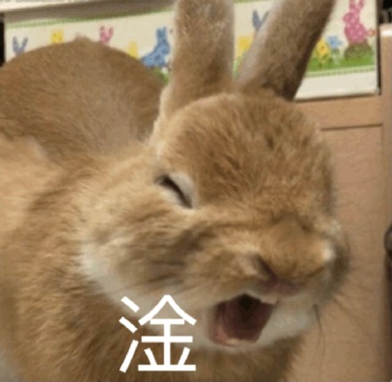 聊天斗图别愁！这套奇奇怪怪动物表情包太好用了