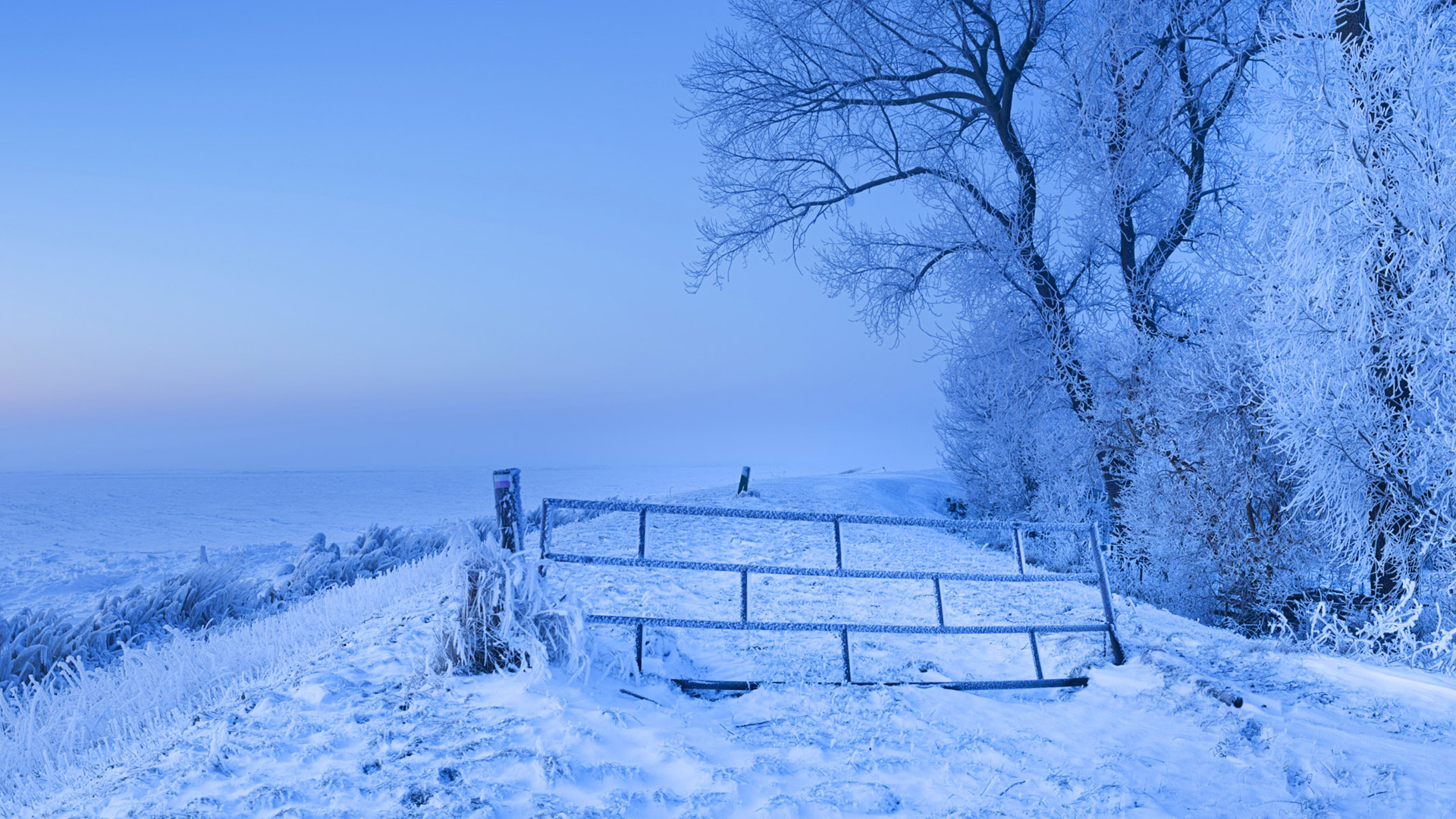 微软电脑雪全景风景桌面壁纸上新 多款高清尺寸可选