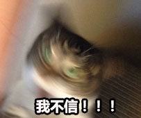 气得我都糊掉了 热门斗图表情包合集