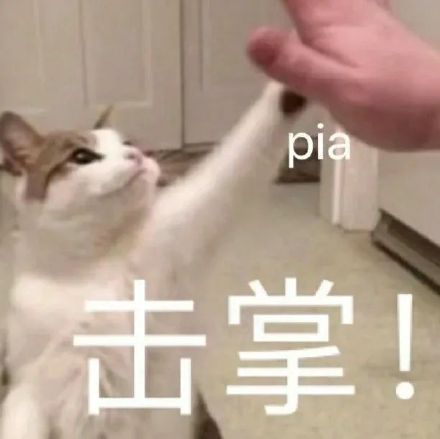 1月17日斗图表情包合集整理