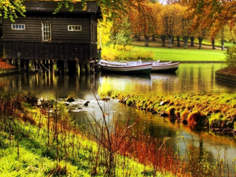 秋日森林河流小屋 氛围感拉满的电脑桌面壁纸