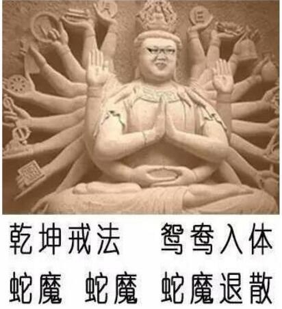 你们的嫖老师！骚猪PDD专属斗图表情包来啦