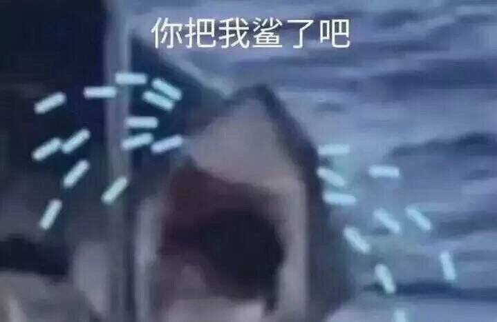 聊天斗图别愁！这套鲨鱼表情包直接封神