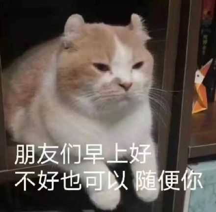 日常聊天救星！这套实用表情包合集直接封神