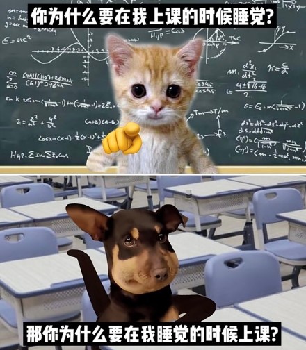 12月19日斗图表情包合集来啦