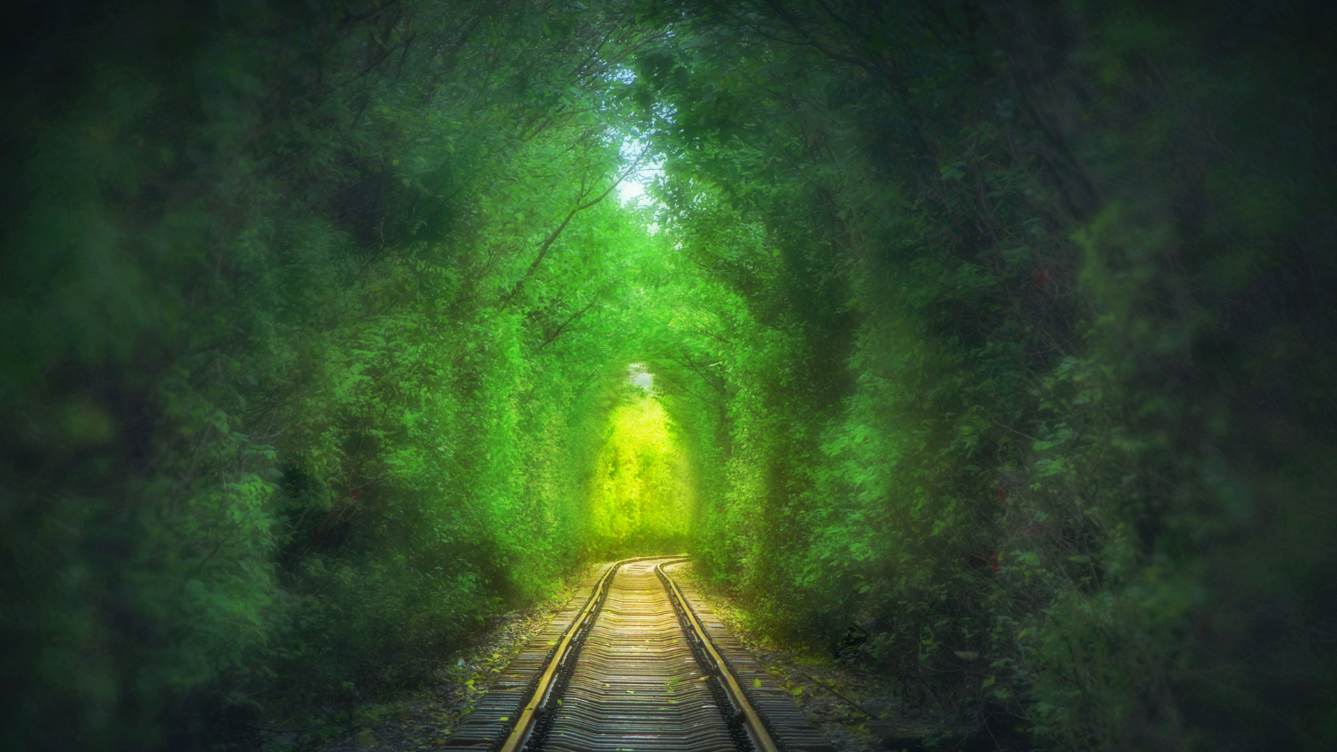 这条爱情隧道绿色风景壁纸 适配多款电脑屏幕尺寸