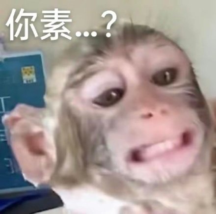 聊天斗图别愁！这套沙雕猴吗喽表情包太好用了