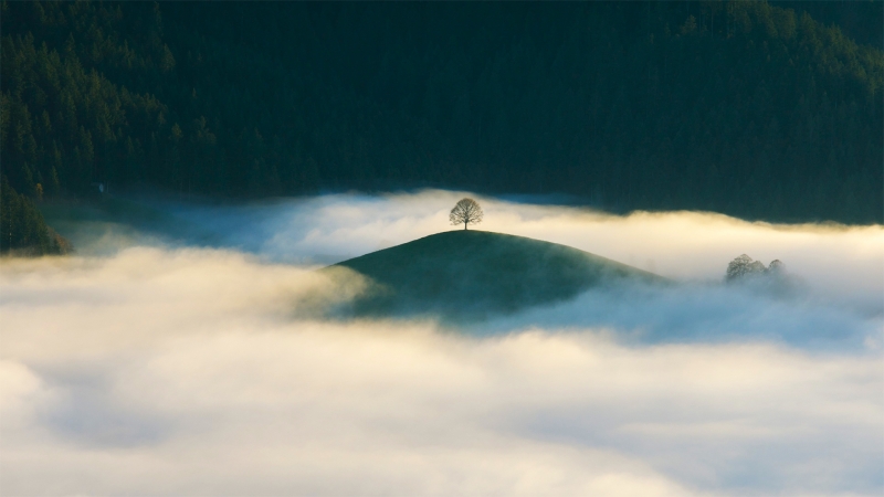 氛围感拉满！山林云雾自然风景电脑壁纸合集