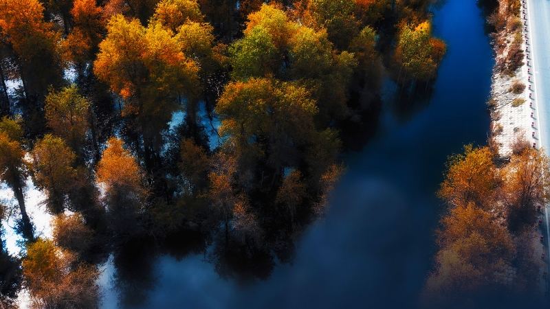 适配华为Mate40的俯视秋天风景高清电脑壁纸推荐