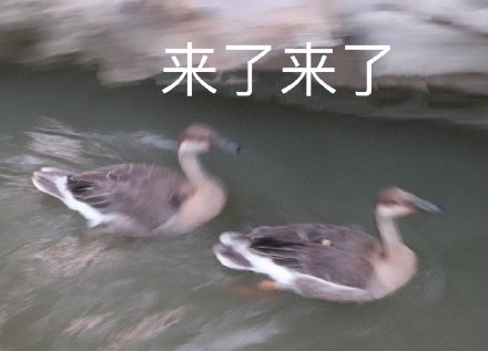 7月20日斗图表情包合集来啦