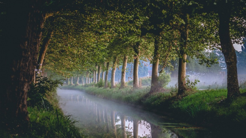 水渠树影自然风景电脑壁纸