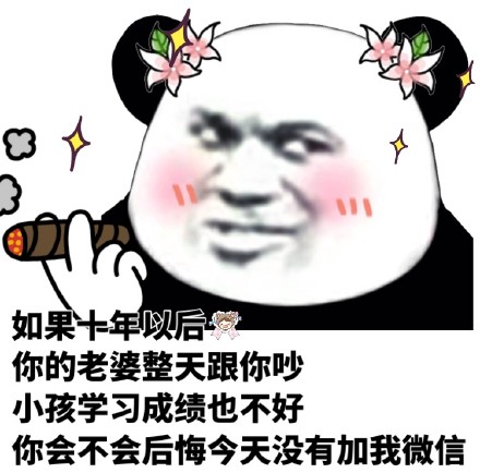 熊猫头情头来了！你会不会后悔今天没加我微信