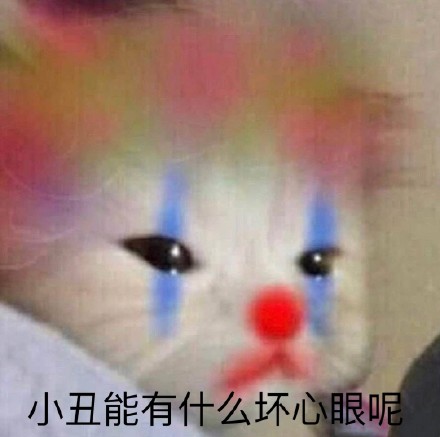 12月29日斗图表情包精选合集