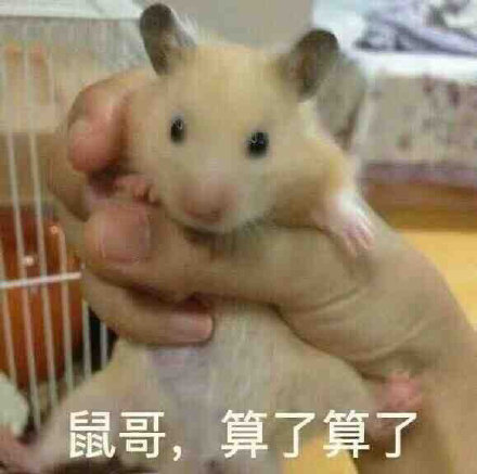 聊天斗图必备！“大哥 算了算了”系列表情包合集