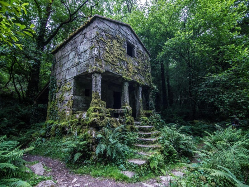 林间苔藓小屋 治愈系风景电脑壁纸