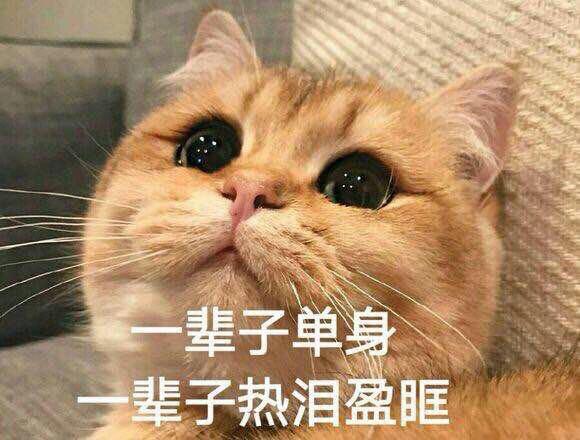 单身党专属！这套「一辈子单身，一辈子热泪盈眶」表情包火了