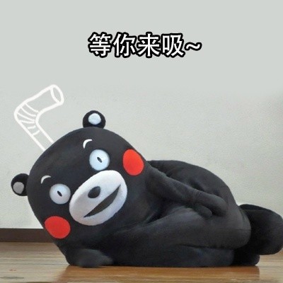 谁懂啊！这套熊本熊“吸熊”表情包太会撩了