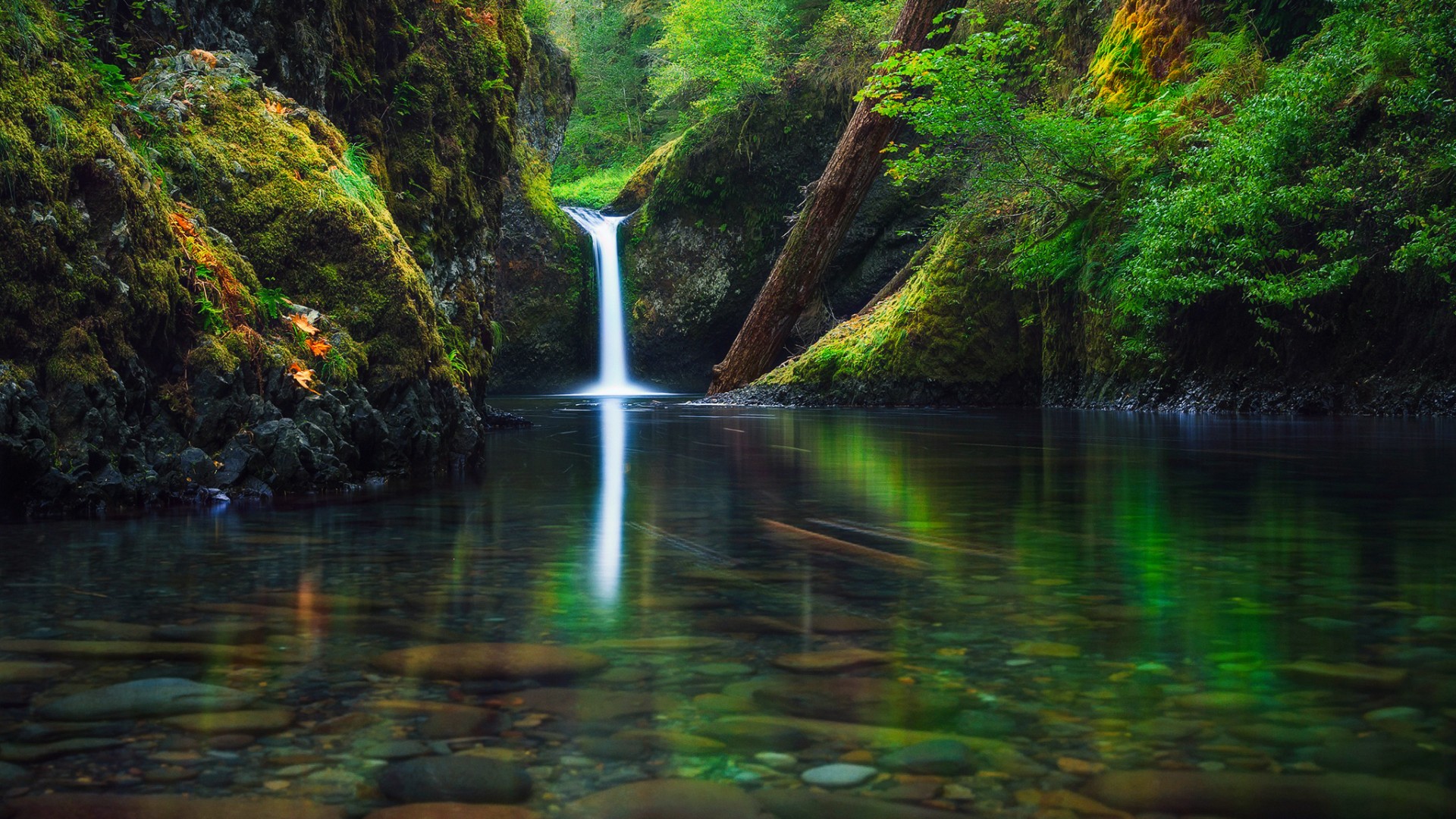 清爽治愈！这款森林瀑布风景壁纸适配多款电脑屏幕