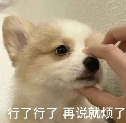 聊天斗图必备！超全小狗表情包合集来了