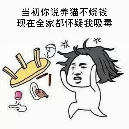 张学友摔桌表情包：你个骗纸！
