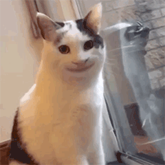 聊天斗图不用愁！这套实用动图表情包直接用