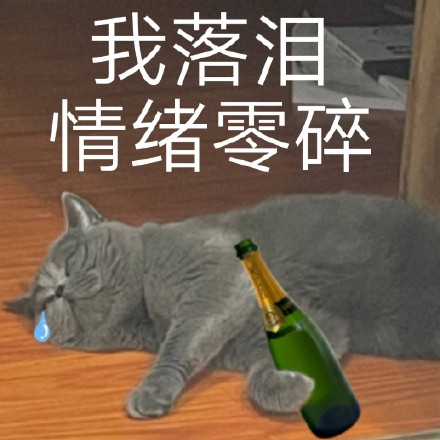 猫咪喵星人斗图表情包合集来啦