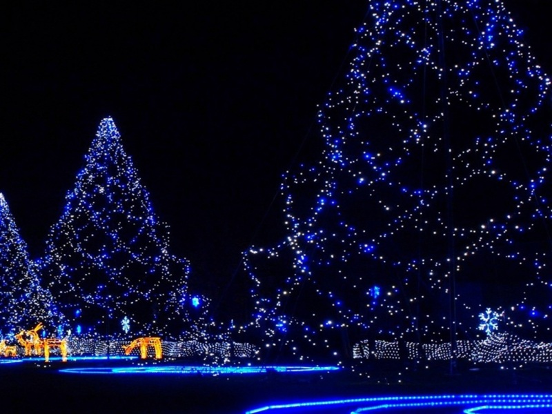 圣诞夜花环电脑动漫壁纸 多款高清尺寸任你选