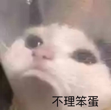 11月15日斗图表情包合集来啦