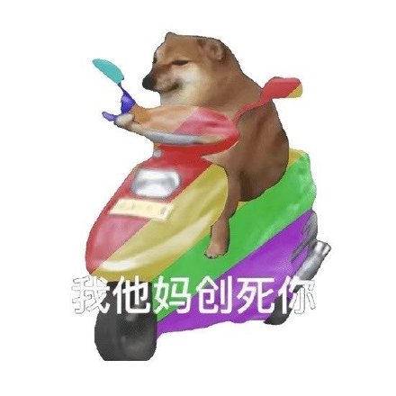 骑车狂飙的沙雕摩的狗表情包火了