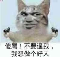 聊天斗图必备！这套魔性变脸猫表情包太上头了