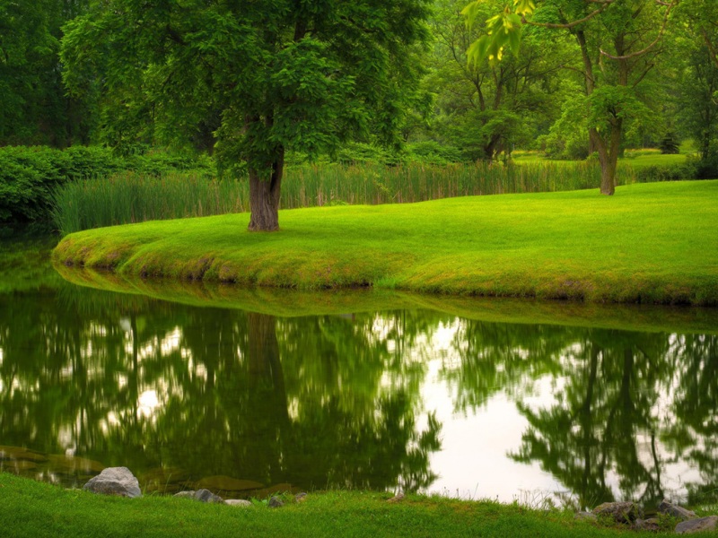 公园河流树影草坪护眼风景电脑桌面壁纸