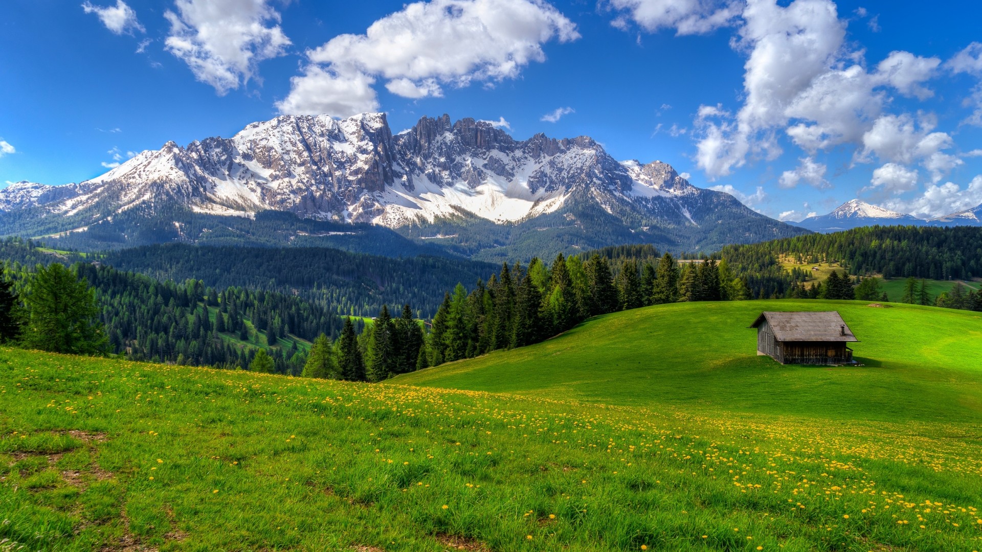 春日山林风景电脑壁纸上新