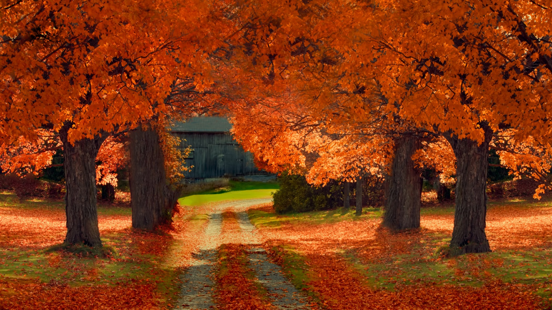 秋日道路房屋风景 多款高清电脑桌面壁纸