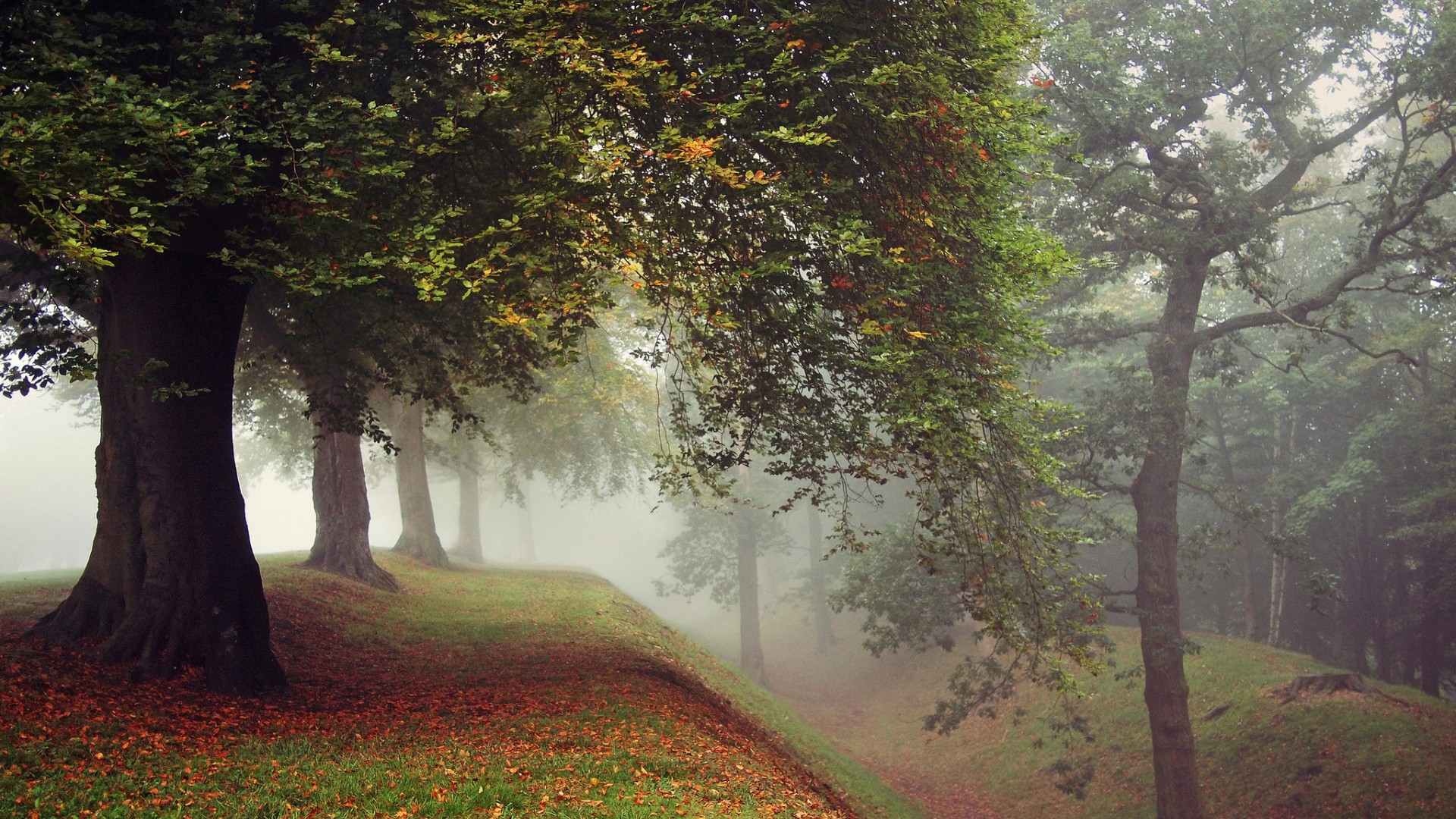 秋日公园森林壁纸合集 适配多尺寸电脑桌面