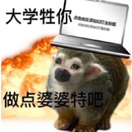 聊天斗图别愁！这套猴猴表情包帮你精准传情