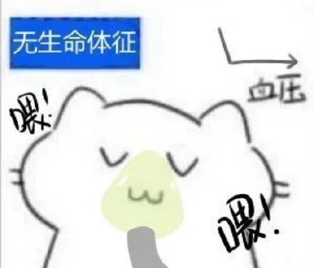 超实用肥肥猫猫斗图表情包合集