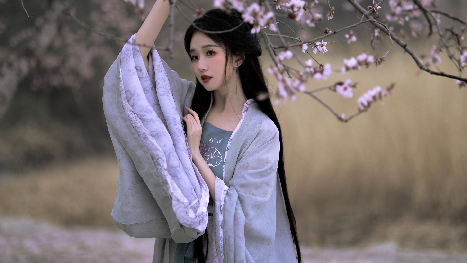 古风美女配梅花 多款高清电脑壁纸分享