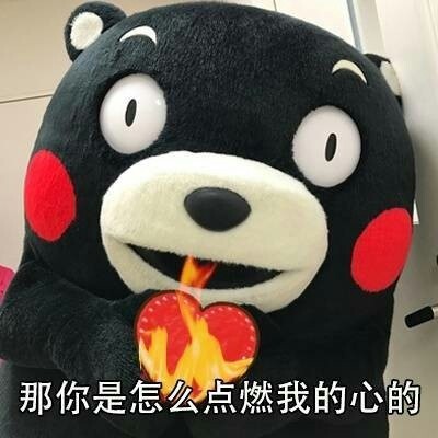 熊本熊撩妹套路表情包，直接拿去用