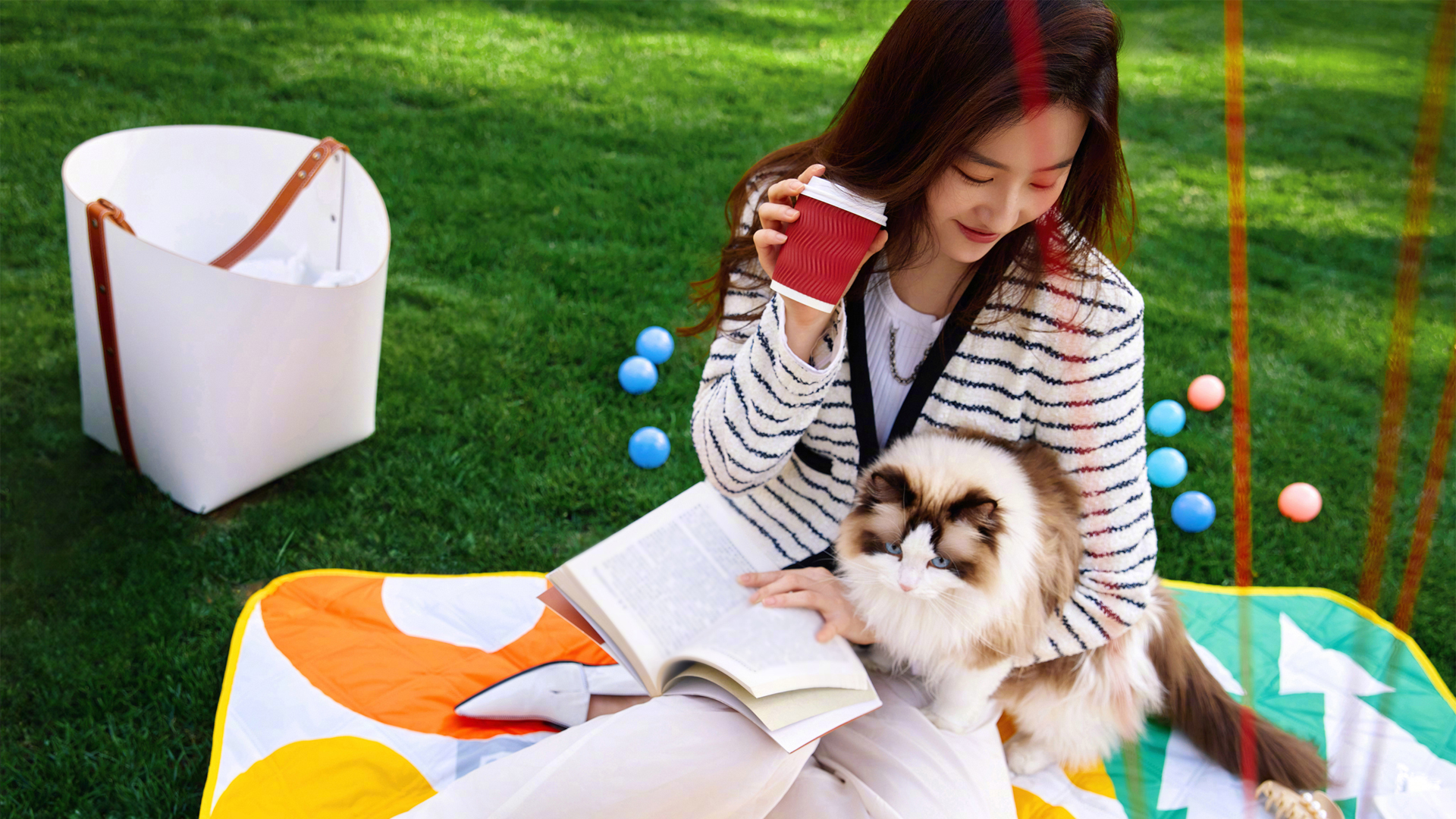 刘亦菲绿草地配猫和书的高清壁纸来了