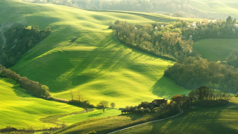 山坡草原动漫风电脑桌面壁纸推荐