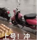 12月19日斗图表情包合集来啦