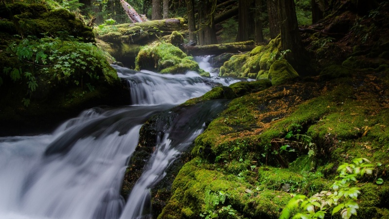 这份森林瀑布溪流壁纸 适配多款电脑屏幕尺寸