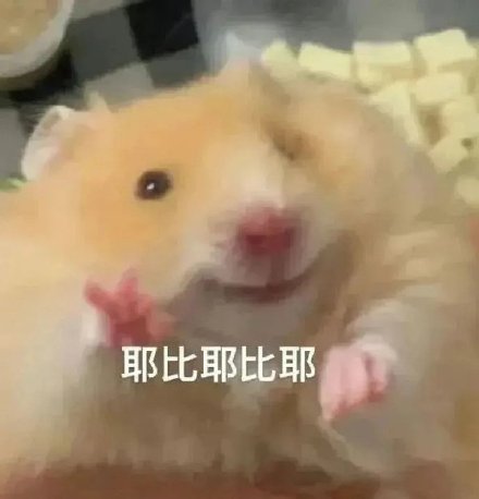 聊天斗图必备！这套小仓鼠表情包太会整活了
