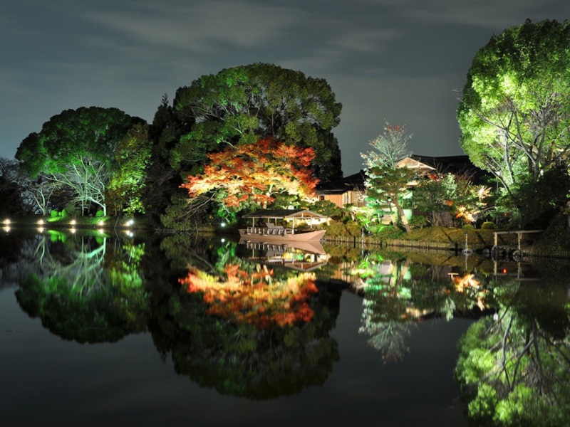 河边公园夜景动漫风电脑壁纸