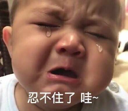 11月4日斗图表情包精选合集