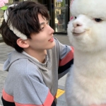 “女友不是人”系列情侣头像 高清16张合集